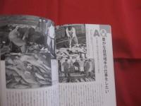 ★沖縄移住ガイド  　　住まい　 ・　 職探しから教育まで実用情報満載！  　　  吉田 直人 　著 　　　　     【沖縄・琉球・歴史・文化】