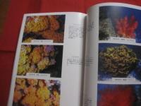 素潜り 　　 １９７２年　 ～ 　２０１２年   　　 写真撮影  　仲田 　力夫   　　 私家版 　　　　    【沖縄・琉球・写真集・自然・風景】