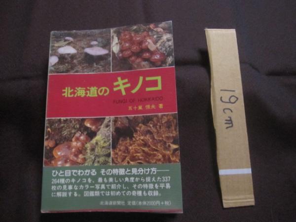 真境名安興全集 全四巻 【沖縄・琉球・歴史・文化】(◎著者