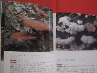 北海道のキノコ  　　    ＦＵＮＧＩ  　 ＯＦ   　ＨＯＫＫＡＩＤＯ   　　   五十嵐  恒夫　  著　　      ひと目でわかる その特徴と見分け方   　　　　   【自然・菌類】