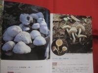 北海道のキノコ  　　    ＦＵＮＧＩ  　 ＯＦ   　ＨＯＫＫＡＩＤＯ   　　   五十嵐  恒夫　  著　　      ひと目でわかる その特徴と見分け方   　　　　   【自然・菌類】