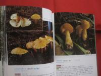 北海道のキノコ  　　    ＦＵＮＧＩ  　 ＯＦ   　ＨＯＫＫＡＩＤＯ   　　   五十嵐  恒夫　  著　　      ひと目でわかる その特徴と見分け方   　　　　   【自然・菌類】
