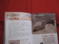 驚異の極限生物ファイル  　　クマムシだけじゃない　！  　　過酷な環境を生き抜くタフなやつら　　  長沼 　毅　 監修  　　　　　　  【自然・生物・動物・細菌】