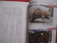 豚国 ・ おきなわ     あなたの知らない豚の世界      沖縄そば、ティビチ、ラフテー、ソーキ汁 etc。    沖縄を代表する料理に必ず使われ、行事に欠かすことのできない豚肉。            【沖縄・琉球・歴史・食文化】