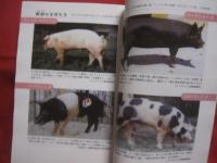 ★豚国 ・ おきなわ     あなたの知らない豚の世界      沖縄そば、ティビチ、ラフテー、ソーキ汁 etc。    沖縄を代表する料理に必ず使われ、行事に欠かすことのできない豚肉。            【沖縄・琉球・歴史・食文化】