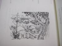 きじむなあ物語    　　作 　船越 義彰    　　絵　 与儀 達治    　　那覇出版 　発行  　　　　    【沖縄・琉球・歴史・文化】