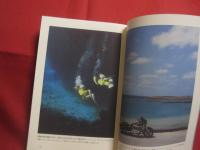 必ず儲かる  　沖縄観光ビジネス　　  Ｏｋｉｎａｗａ 　 Ｔｏｕｒｉｓｍ 　 Ｂｕｓｉｎｅｓｓ  　　  渡口 昇　著  　　　　  【沖縄・琉球・歴史・文化】