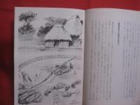琉球歴史夜話    　　源 武雄　著    　　新星図書出版　発行            【沖縄・琉球・歴史・文化】