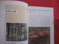 熊本のきのこ    　　監修 　本郷次雄    　　編著 　熊本きのこ会    　　発行　 熊本日日新聞社    　　　　 【自然・菌類】