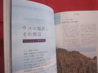 ウユニ塩湖 　世界一の「奇跡」と呼ばれた絶景 　　   日本初のウユニ塩湖写真集  　　 今すぐいけちゃうガイド付き！　　　　   【自然・風景】