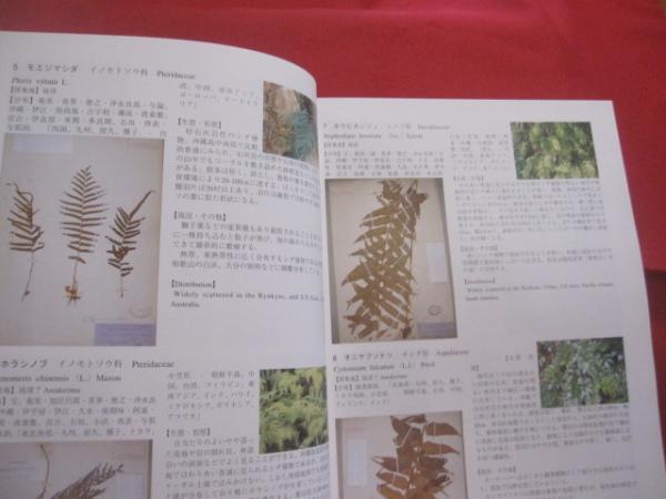 琉球王国時代の植物標本 ペリーが持ち帰った植物たち 企画展 「 琉球