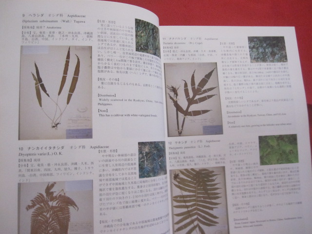 琉球王国時代の植物標本 ペリーが持ち帰った植物たち 企画展 「 琉球