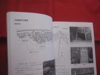 沖縄の鳥居　　    編集 　仲里　 長和    　　私家版 　　　　　      【沖縄・琉球・歴史・文化・とりい・写真集】