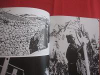 沖縄の美    　　           日本民藝館蔵          　　　　　           【沖縄・琉球・歴史・工芸・陶芸・紅型・染織・文化】