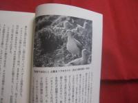 ★沖縄の資源探訪      　　高良鉄夫随想集  　　    琉球新報社　  発行  　　　　          【沖縄・琉球・自然】