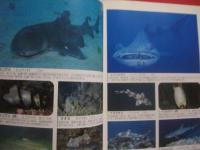 ダイバー　・　スノーケラーのための  　　海中生物図鑑 　　 小林安雅　 著  　　誠文堂新光社　 発行　　　　　　    【自然・アウトドア・海洋レジャー】
