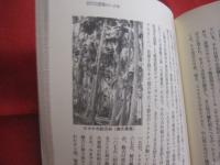 ☆★沖縄の資源探訪      　　高良鉄夫随想集  　　    琉球新報社　  発行  　　　　          【沖縄・琉球・自然】
