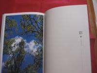 小橋川共男写真集　　  四季のたより　　  都会のオアシス　　  石神井　 ・　 三宝寺池 　　 春  　　夏  　　秋 　　 冬　  　彩  　　生　  　水  　　花　  　梢   　 　　定価 一万円   　　　　    【アート写真・自然・風景】