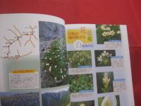 白馬岳 　 鹿島槍　  唐松　  五竜 　 針ノ木　  蓮華 　 朝日　　    ガイドブックと登山地図がひとつになった　   ヤマケイ 　  ＹＡＭＡＰシリーズ　 １     　　       【趣味・登山・レジャー・アウトドア】