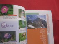白馬岳 　 鹿島槍　  唐松　  五竜 　 針ノ木　  蓮華 　 朝日　　    ガイドブックと登山地図がひとつになった　   ヤマケイ 　  ＹＡＭＡＰシリーズ　 １     　　       【趣味・登山・レジャー・アウトドア】