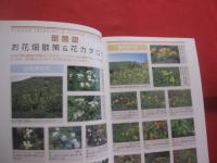 白山  　御嶽山  　比良  　　ガイドブックと登山地図がひとつになった   　　 ヤマケイ　   ＹＡＭＡＰシリーズ 　 １６ 　　　　　　   【趣味・登山・レジャー・アウトドア】
