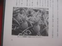 展望 　　 沖縄の農業  　　  大城 喜信 　著 　　   琉球新報社　 発行　　　　       【沖縄・琉球・歴史・自然・農学】