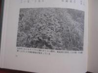 展望 　　 沖縄の農業  　　  大城 喜信 　著 　　   琉球新報社　 発行　　　　       【沖縄・琉球・歴史・自然・農学】