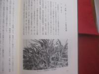 展望 　　 沖縄の農業  　　  大城 喜信 　著 　　   琉球新報社　 発行　　　　       【沖縄・琉球・歴史・自然・農学】