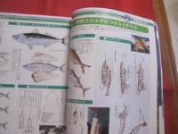 美ら海フィッシング   　　 おきなわの沖釣り   　　 総力特集    　　沖釣りの最強攻略法 　　　　　　           【沖縄・琉球・趣味・アウトドア・海洋レジャー】