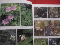 広島県植物誌    　　広島大学理学部附属宮島自然植物実験所   　　比婆科学教育振興会  　編  　　  中国新聞社　  発行 　　　　　　　　　 【自然・種子植物・シダ植物・コケ植物・地衣植物・淡水藻類・天然記念物】