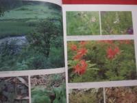 広島県植物誌    　　広島大学理学部附属宮島自然植物実験所   　　比婆科学教育振興会  　編  　　  中国新聞社　  発行 　　　　　　　　　 【自然・種子植物・シダ植物・コケ植物・地衣植物・淡水藻類・天然記念物】