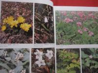 広島県植物誌    　　広島大学理学部附属宮島自然植物実験所   　　比婆科学教育振興会  　編  　　  中国新聞社　  発行 　　　　　　　　　 【自然・種子植物・シダ植物・コケ植物・地衣植物・淡水藻類・天然記念物】