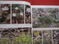 広島県植物誌    　　広島大学理学部附属宮島自然植物実験所   　　比婆科学教育振興会  　編  　　  中国新聞社　  発行 　　　　　　　　　 【自然・種子植物・シダ植物・コケ植物・地衣植物・淡水藻類・天然記念物】