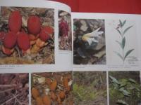 広島県植物誌    　　広島大学理学部附属宮島自然植物実験所   　　比婆科学教育振興会  　編  　　  中国新聞社　  発行 　　　　　　　　　 【自然・種子植物・シダ植物・コケ植物・地衣植物・淡水藻類・天然記念物】