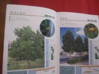 新　・　緑化樹木のしおり　　    樹木　・　ツル類　・　地被類　・　草本類　・　ヤシ類　　    （社）沖縄県土木建築部 　監修　　   沖縄県造園建設業協会 　編著   　　　　　　   【沖縄・琉球・自然・植物】
