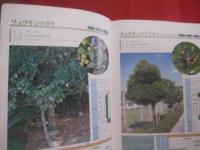 新　・　緑化樹木のしおり　　    樹木　・　ツル類　・　地被類　・　草本類　・　ヤシ類　　    （社）沖縄県土木建築部 　監修　　   沖縄県造園建設業協会 　編著   　　　　　　   【沖縄・琉球・自然・植物】