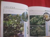 新　・　緑化樹木のしおり　　    樹木　・　ツル類　・　地被類　・　草本類　・　ヤシ類　　    （社）沖縄県土木建築部 　監修　　   沖縄県造園建設業協会 　編著   　　　　　　   【沖縄・琉球・自然・植物】