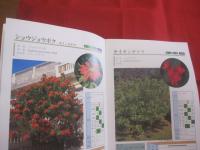 新　・　緑化樹木のしおり　　    樹木　・　ツル類　・　地被類　・　草本類　・　ヤシ類　　    （社）沖縄県土木建築部 　監修　　   沖縄県造園建設業協会 　編著   　　　　　　   【沖縄・琉球・自然・植物】