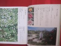 改訂 　 沖縄の薬草 　　 でいごシリーズ　 ４ 　　   吉川 敏男　 著　　    月刊沖縄社 　発行     　　　　 【沖縄・琉球・文化・自然・植物・民間療法】