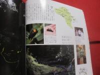 うるま   　　特集　：　沖縄人とは　？　 （　生活編　）　　    　沖縄の元気を伝える亜熱帯マガジン。   　　◎２００５年７月号　・　No　.　８８ 　　　　　　　 【沖縄・琉球・歴史・文化・自然・離島】