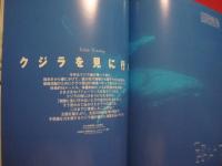 うるま　　　　　特集　：　クジラを見に行く。　 　  　沖縄の元気を伝える亜熱帯マガジン。　　　　◎２０００年３月号　・　No　.　２４　　　　　　　【沖縄・琉球・歴史・文化・自然・離島】