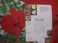 魅惑の沖縄ガーデニング   　　南国の花木カタログ　 ※　 庭づくり実例集　　　  色鮮やかな植物に囲まれて心豊かに暮らす　　　　　   【沖縄・琉球・庭園】