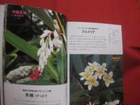 魅惑の沖縄ガーデニング   　　南国の花木カタログ　 ※　 庭づくり実例集　　　  色鮮やかな植物に囲まれて心豊かに暮らす　　　　　   【沖縄・琉球・庭園】