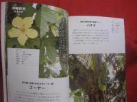 魅惑の沖縄ガーデニング   　　南国の花木カタログ　 ※　 庭づくり実例集　　　  色鮮やかな植物に囲まれて心豊かに暮らす　　　　　   【沖縄・琉球・庭園】