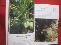 魅惑の沖縄ガーデニング   　　南国の花木カタログ　 ※　 庭づくり実例集　　　  色鮮やかな植物に囲まれて心豊かに暮らす　　　　　   【沖縄・琉球・庭園】