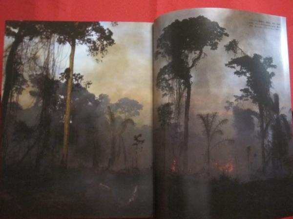 開高健著　「オーパ」 大型本 : 直筆原稿版 オーパ! : 開高 健, 高橋 昇: 本