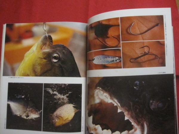 開高健アマゾンフィッシング　オーパ　集英社発行書籍　元版初版カバー帯付き美本 開高健アマゾンフィッシング オーパ 集英社発行書籍 元版初版カバー帯