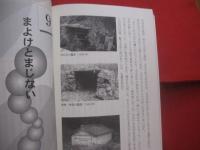 ☆沖縄その不思議な世界 　　   琉球の死後の世界　　    崎原 恒新　 著    むぎ社 　発行     　　         【沖縄・琉球・歴史・精神文化】