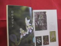 おきなわ野山の花さんぽ　　    写真 ・ 文 　 安里 肇栄  　　  ボーダーインク　  発行    　　見て楽しむ、野山の花の本　　　　       【沖縄・琉球・自然・植物】