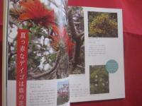 おきなわ野山の花さんぽ　　    写真 ・ 文 　 安里 肇栄  　　  ボーダーインク　  発行    　　見て楽しむ、野山の花の本　　　　       【沖縄・琉球・自然・植物】